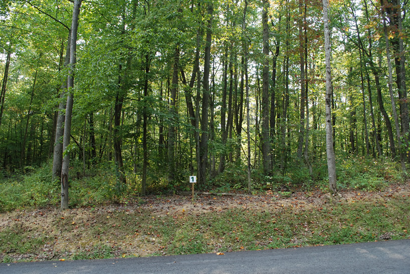 Lot 1