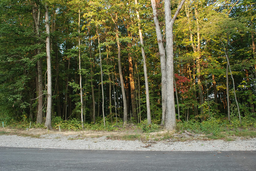 Lot 16