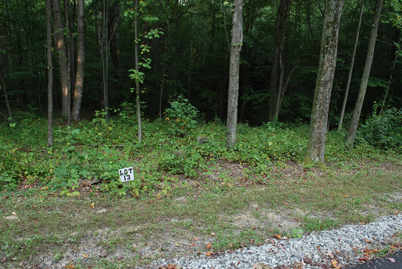 Lot 13