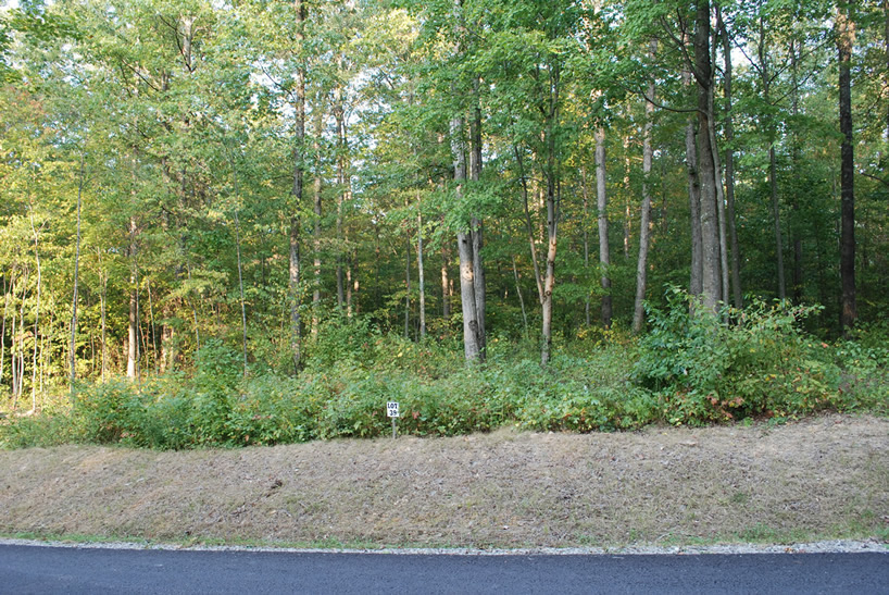 Lot 39