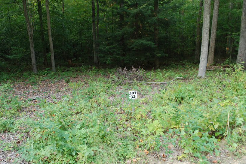 Lot 33