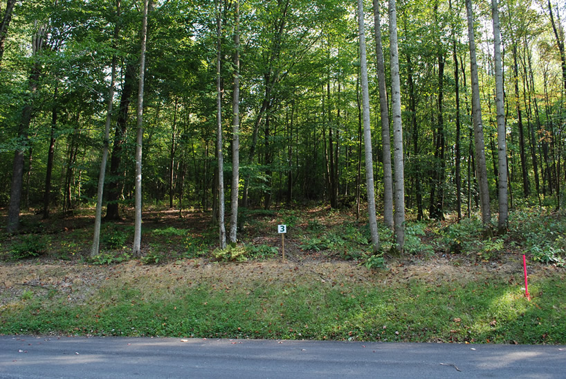 Lot 3