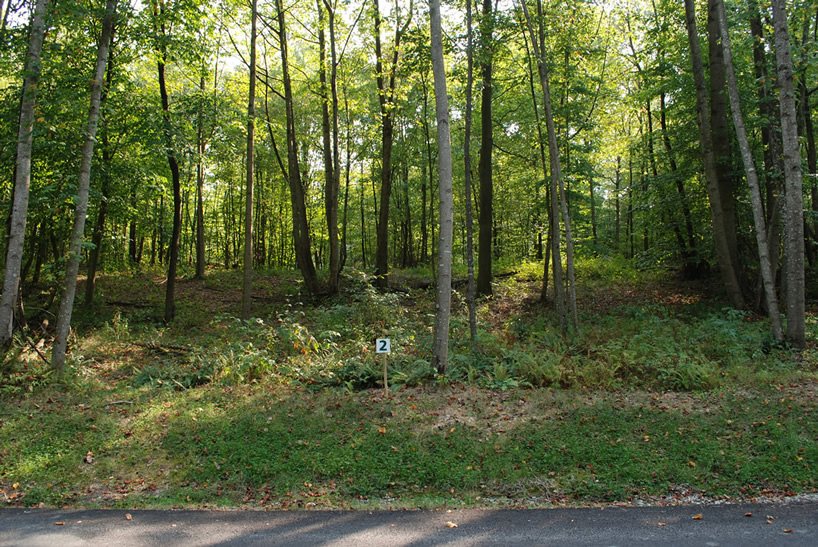 Lot 2