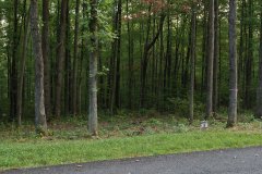 LotFiveDSC_0099.jpg 