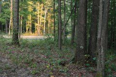 LotFiveDSC_0100.jpg 