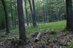 LotFiveDSC_0101.jpg 