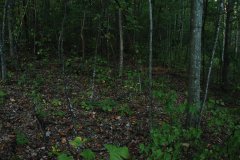 LotFortyDSC_0078.jpg - 