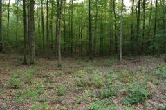 LotFourDSC_0103.jpg 