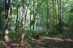LotOneDSC_0009.jpg 