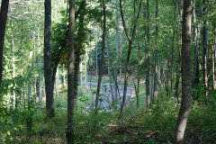 LotOneDSC_0010.jpg - 