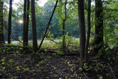 LotSixteenDSC_0097.jpg 