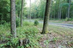 LotThirteenDSC_0056.jpg 