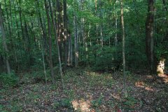 LotThirteenDSC_0057.jpg 