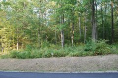 LotThirtyNineDSC_0080.jpg 