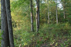 LotThirtyNineDSC_0082.jpg - 