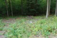 LotThirtyThreeDSC_0088.jpg 