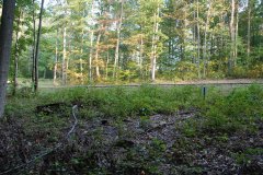 LotThirtyThreeDSC_0091.jpg 