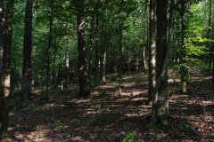 LotThreeDSC_0025.jpg - 