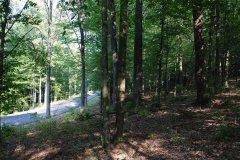 LotThreeDSC_0026.jpg 