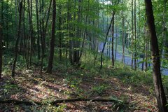 LotThreeDSC_0027.jpg 