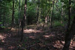 LotThreeDSC_0028.jpg - 