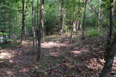 LotThreeDSC_0029.jpg 