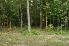 LotTwelveDSC_0064.jpg - 