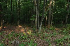 LotTwelveDSC_0067.jpg 