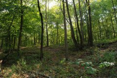 LotTwoDSC_0014.jpg - 