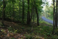 LotTwoDSC_0015.jpg - 